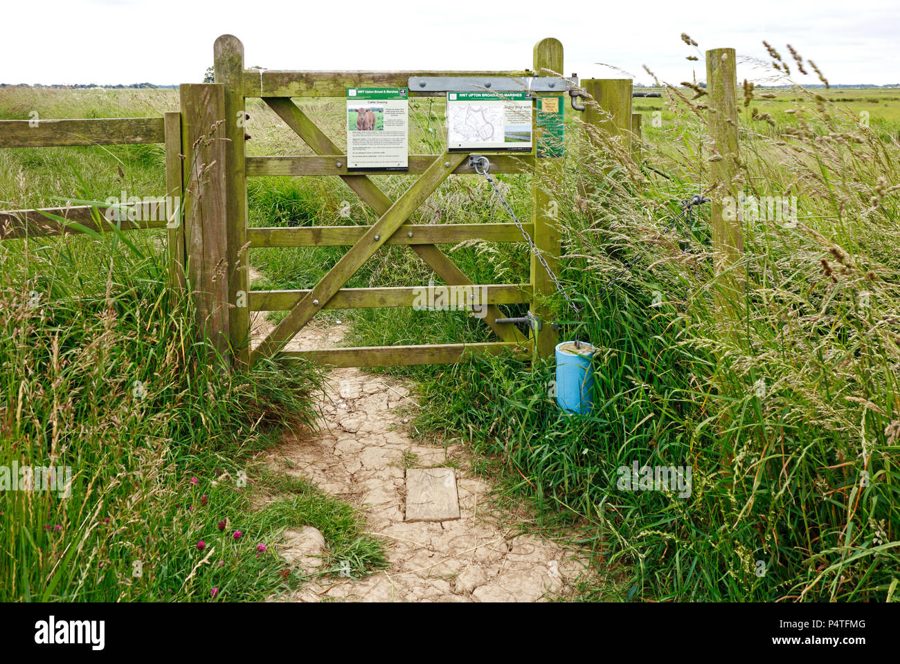 Una mezza dimensione cinque-bar porta con sé il peso di chiusura su un sentiero di accesso e a piedi intorno a Upton paludi di Norfolk, Inghilterra, Regno Unito, Europa. Foto Stock