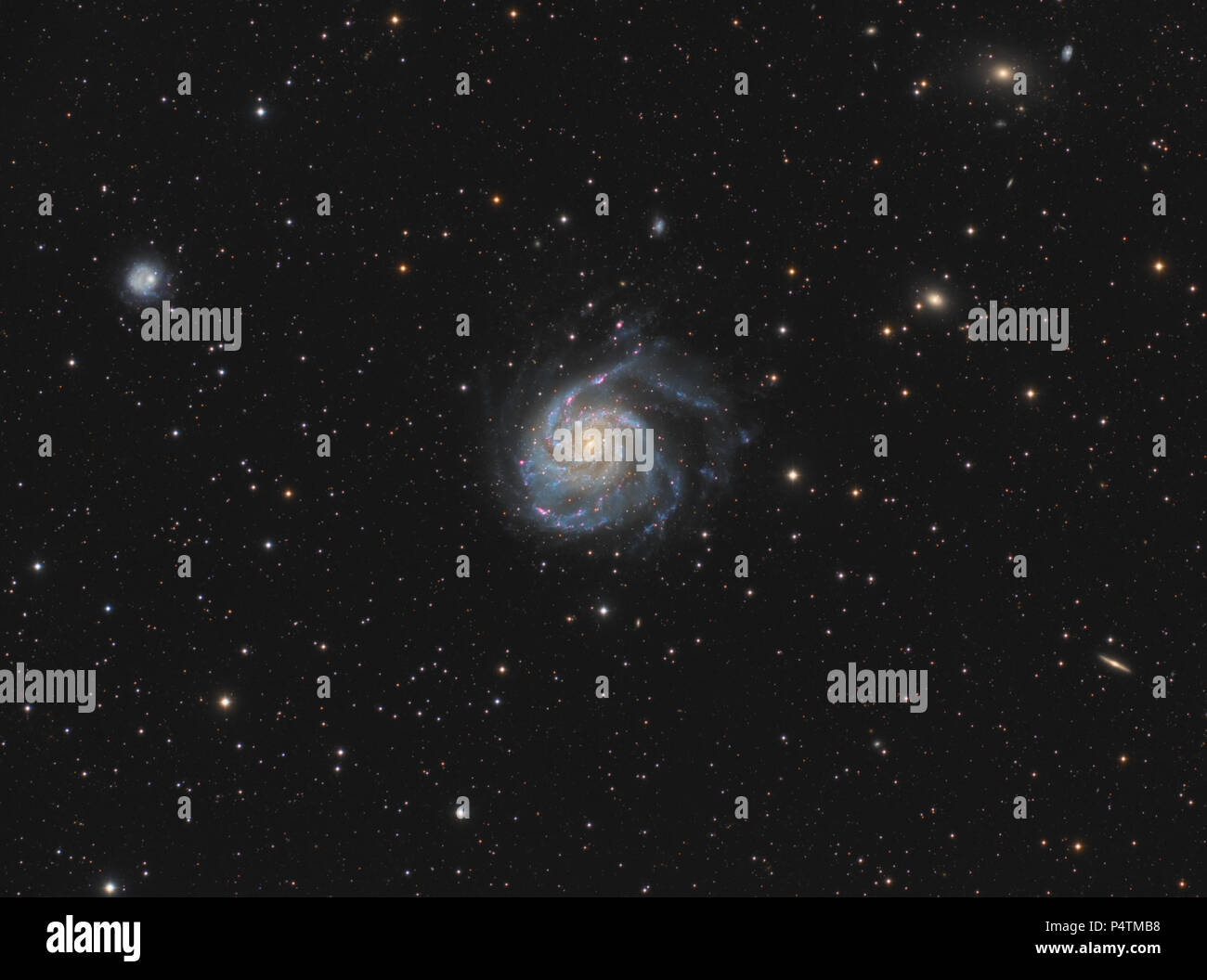 Messier 101 è una galassia a spirale situato circa 21 milioni di anni luce di distanza nella costellazione dell'Orsa Maggiore. Esso è stato osservato per la prima volta il 27 marzo 1781 Foto Stock