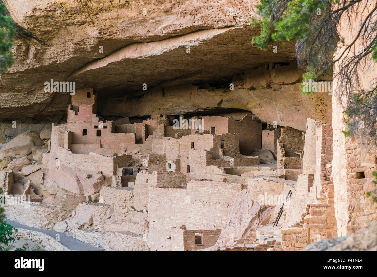 Il parco nazionale di Mesa Verde 06/07/17 : cliff palace al tramonto,il parco nazionale di Mesa Verde.colorado,Stati Uniti d'America. Foto Stock
