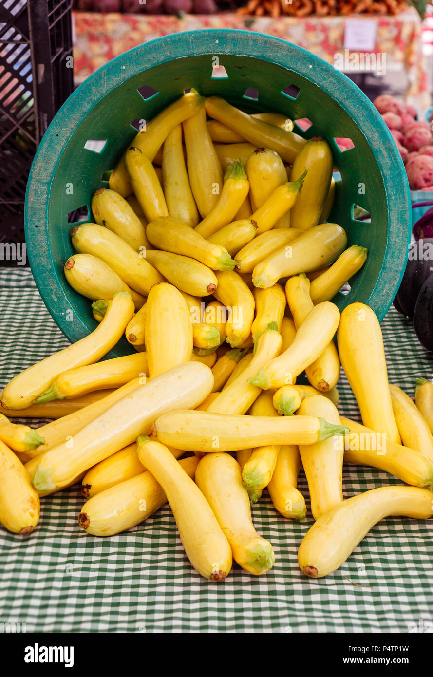 Zucca gialla estiva immagini e fotografie stock ad alta risoluzione - Alamy