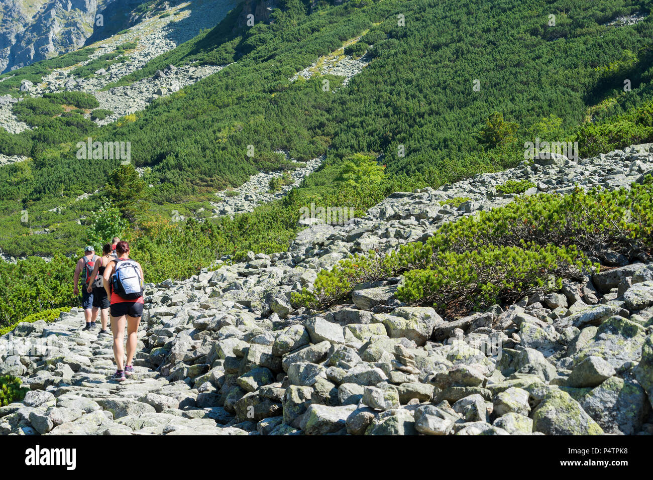 La Slovacchia Alti Tatra Foto Stock