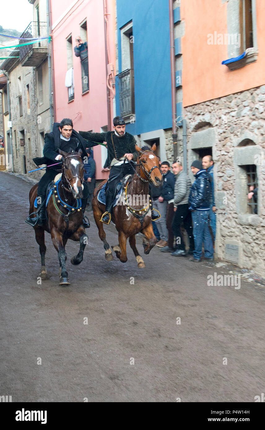 Paio ride temerario palio 'Sa Carrela e nanti', durante il carnevale di Santu Lussurgiu, Oristano, Sardegna, Italia, Europa Foto Stock