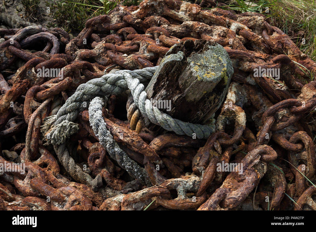 Hallig Hooge, Germania, arrugginita catena di ancoraggio su Hallig Hooge Foto Stock