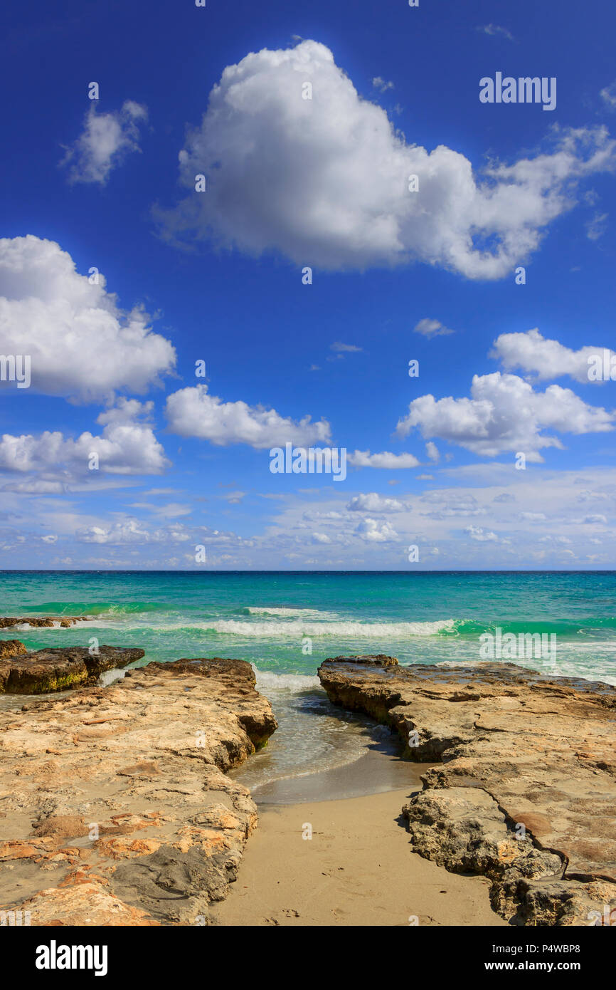 Summmer sulla spiaggia solitaria. La costa salentina: è caratterizzata da piccole calette di sabbia e dune.( Puglia,l'Italia). Foto Stock