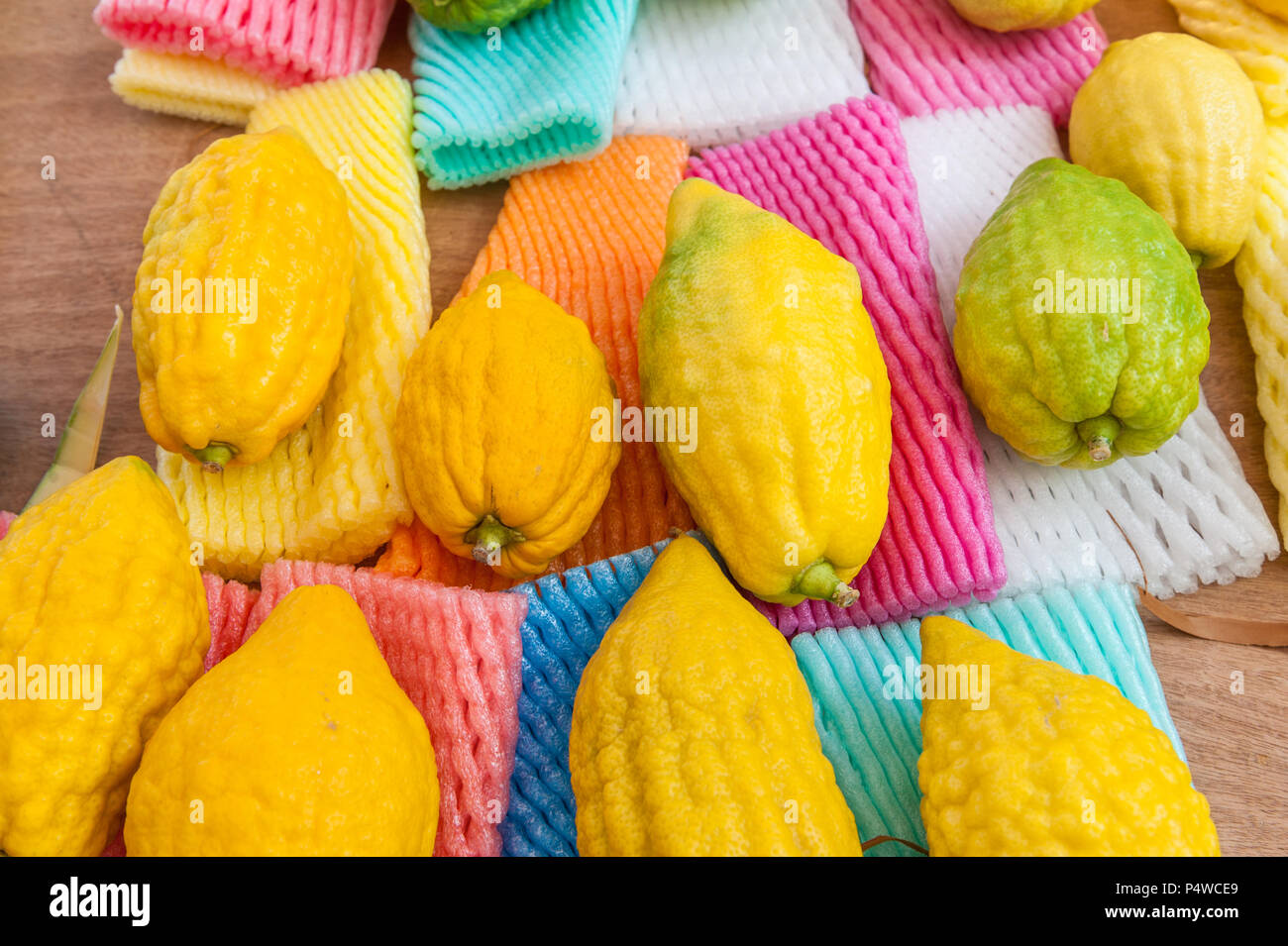Israele, Tel Aviv - 16 Ottobre 2016: Etrog venduti al mercato sukkot su Kikar Rabin square Foto Stock