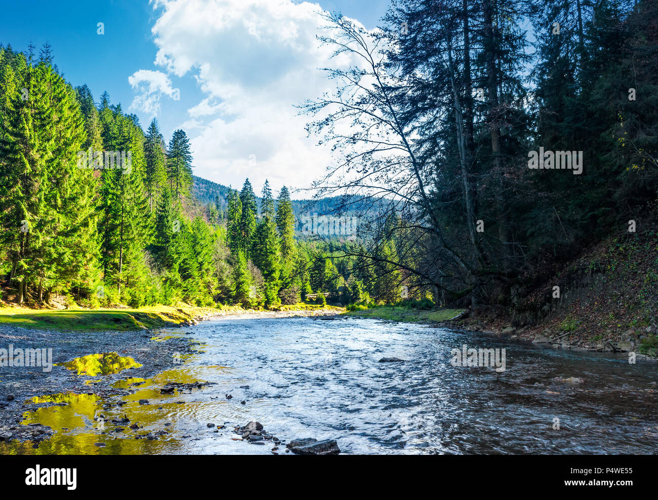Wild fiume di montagna nella foresta. incantevole paesaggio autunnale della natura dei Carpazi Foto Stock