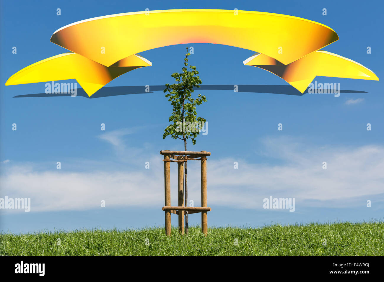 Albero sul prato collinare nella parte anteriore del cielo blu e giallo banner con gradiente dello sfondo. Foto Stock
