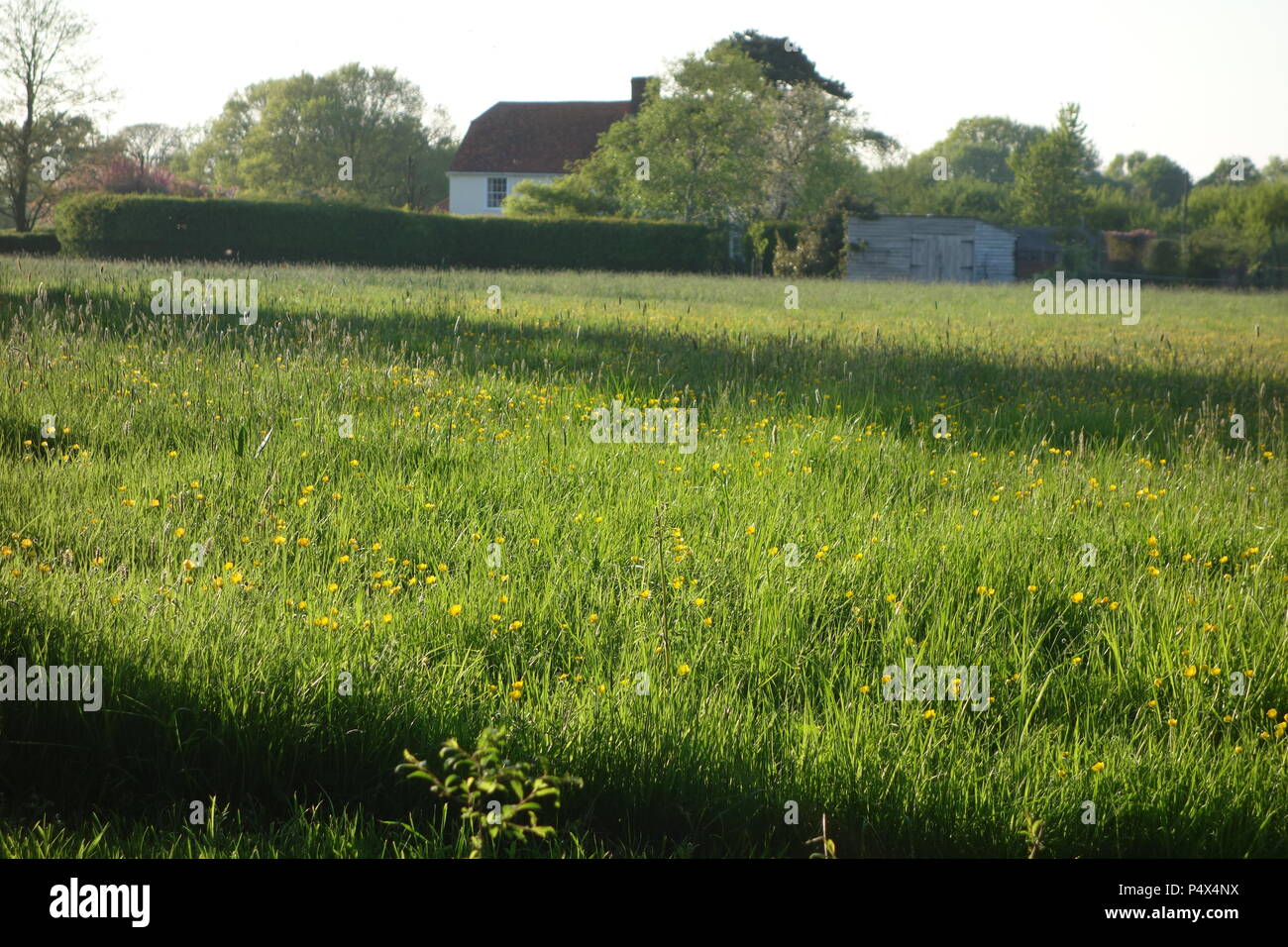 Casa in Shellow Bowells, Essex, antica fattoria con prati o impostazione di prato Foto Stock