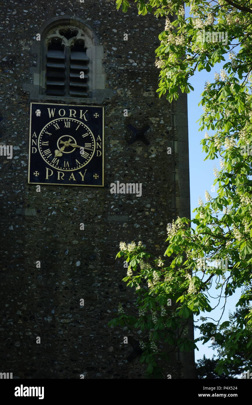 Chiesa orologio a Essex deviatore con ippocastano in fiore in primo piano Foto Stock