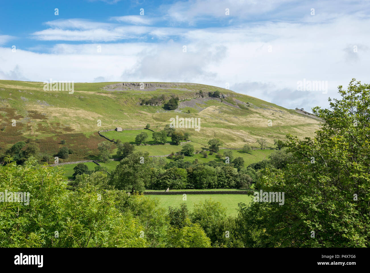 Campagna idilliaca vicino Muker in Swaledale, North Yorkshire, Inghilterra. Un bel giorno di settembre. Foto Stock
