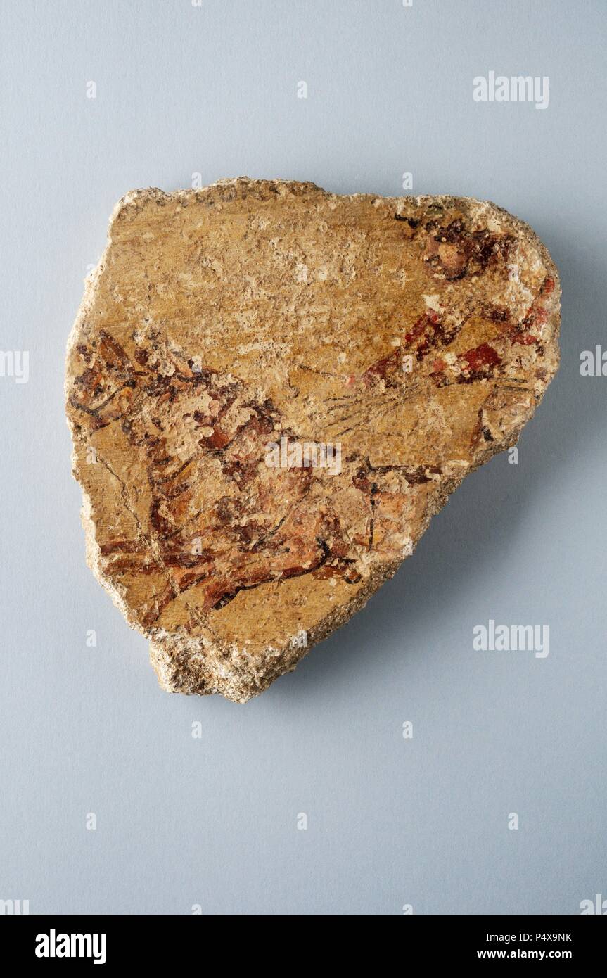 Muro Romano di frammento di pittura ' charioteer portando due cavalli.' 12, 5 x 11 cm, 5 cm ( 2 nd CE ), periodo romano, da 'Villa del Val' - sito archeologico di Complutum in Alcalá de Henares (Madrid). Spagna. Foto Stock