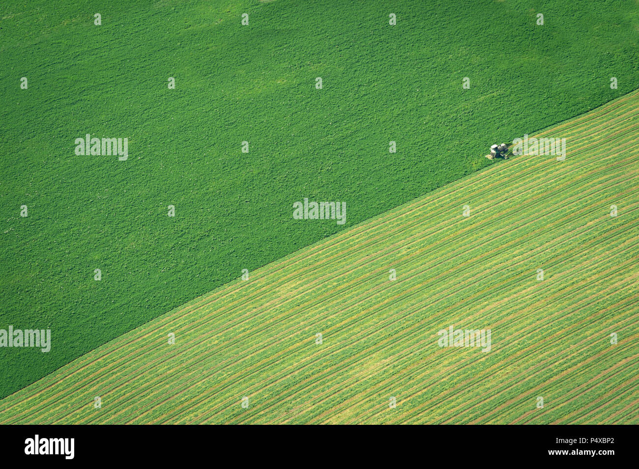 Vista aerea della fattoria con il trattore Foto Stock