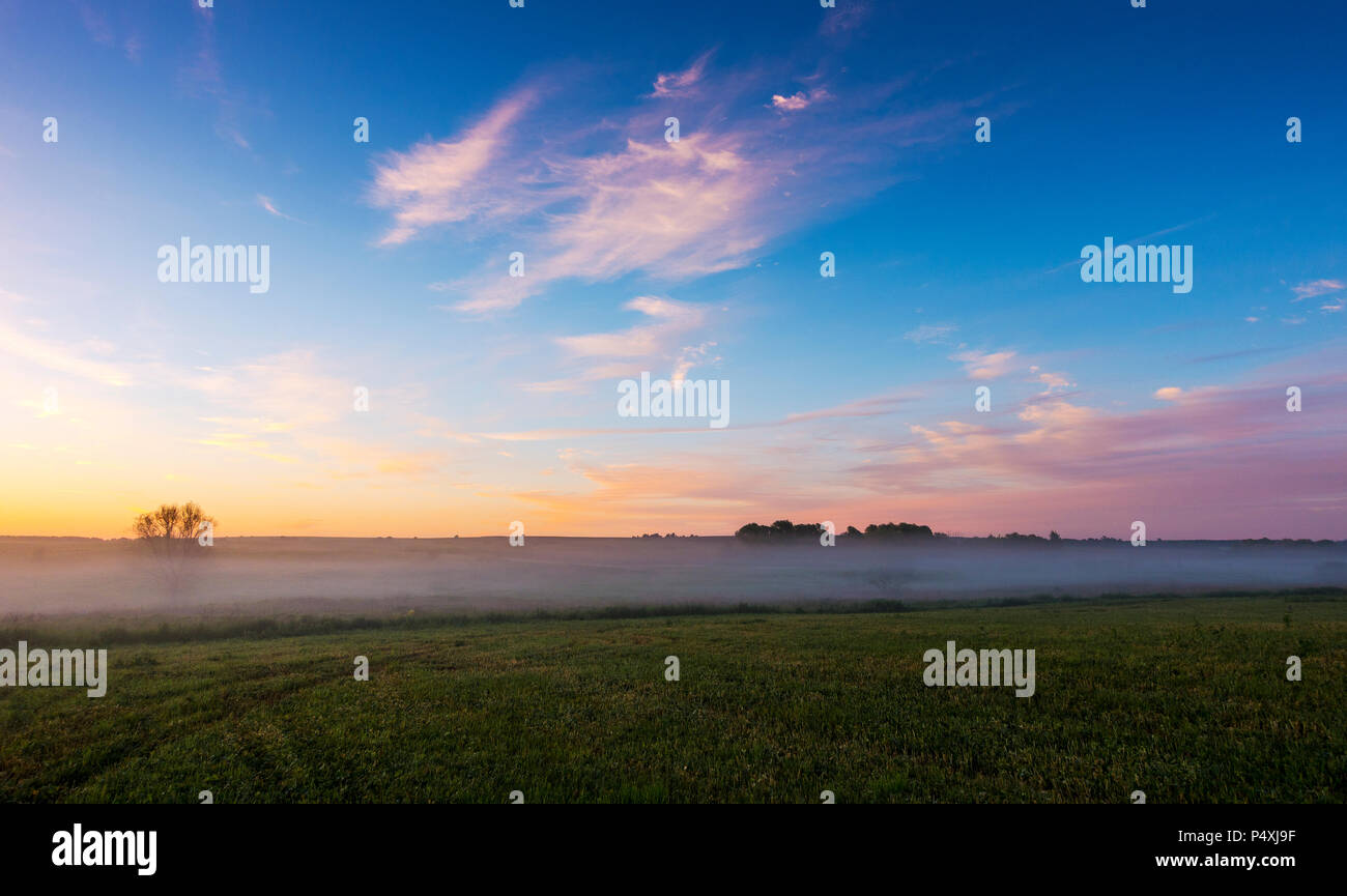 Alba sul campo coperto con la nebbia su una mattina d'estate Foto Stock