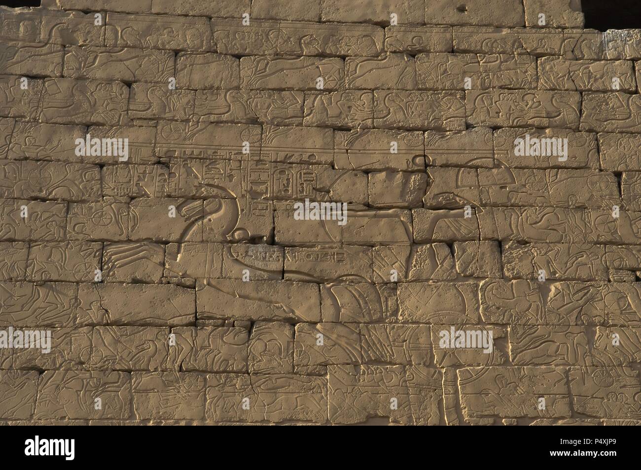 Ramesse II. Rilievo raffigurante il Faraone su di un carro nella battaglia di Kadesh (Siria settentrionale). Nuovo Regno. Tempio di Luxor. L'Egitto. Foto Stock