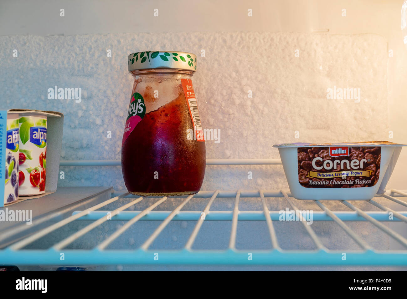 Contenuto su un ripiano interno di un frigorifero con uno strato di ghiaccio che si è accumulato sulla parete del frigorifero Foto Stock