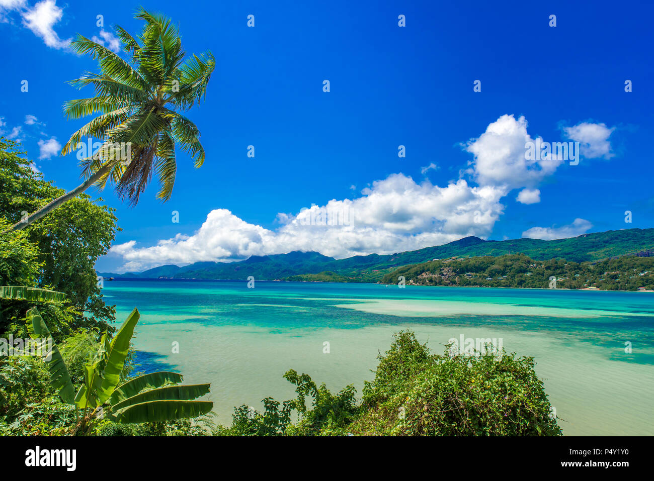 Anse a La Mouche - Paradise beach in Seychelles, Mahe Foto Stock