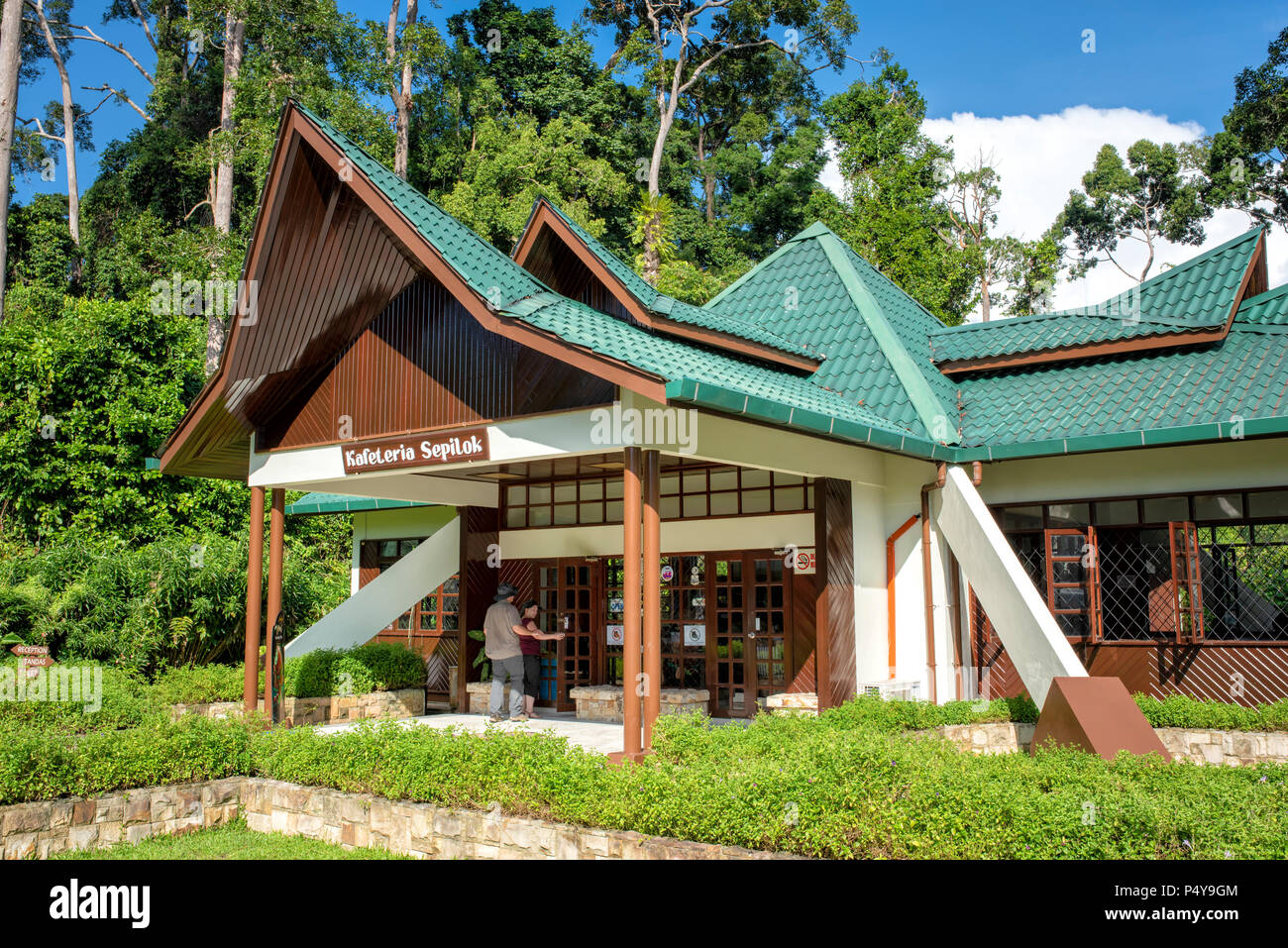Sepilok Orangutan Centro di riabilitazione in Sandakan, Borneo Malaysia Foto Stock