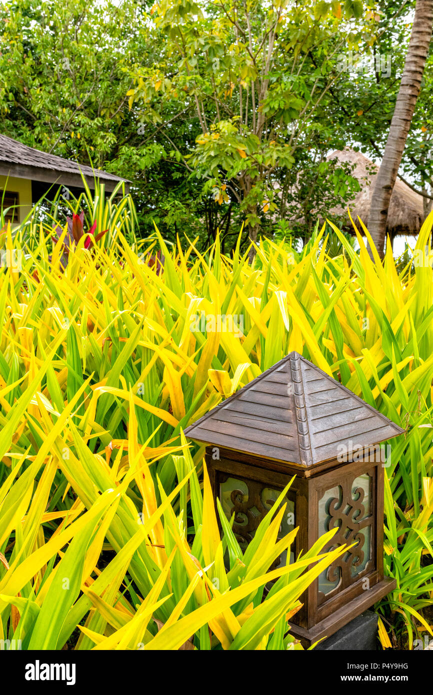 La lussureggiante vegetazione del parco di Shangri La Rasa Ria, Borneo Malaysia Foto Stock
