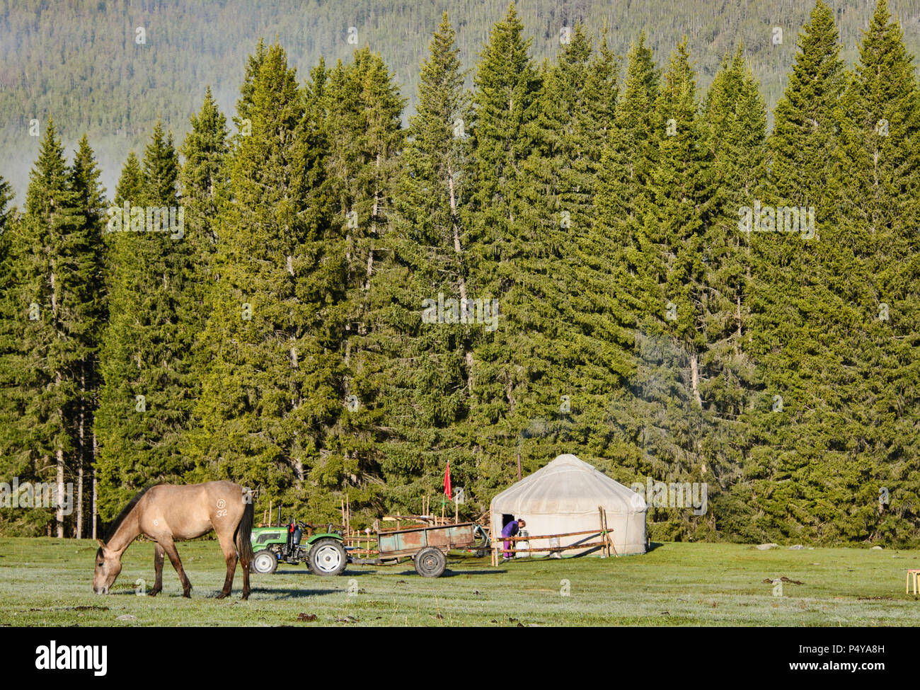 Home sulla gamma; yurta al Lago Kanas National Park, Xinjiang, Cina Foto Stock