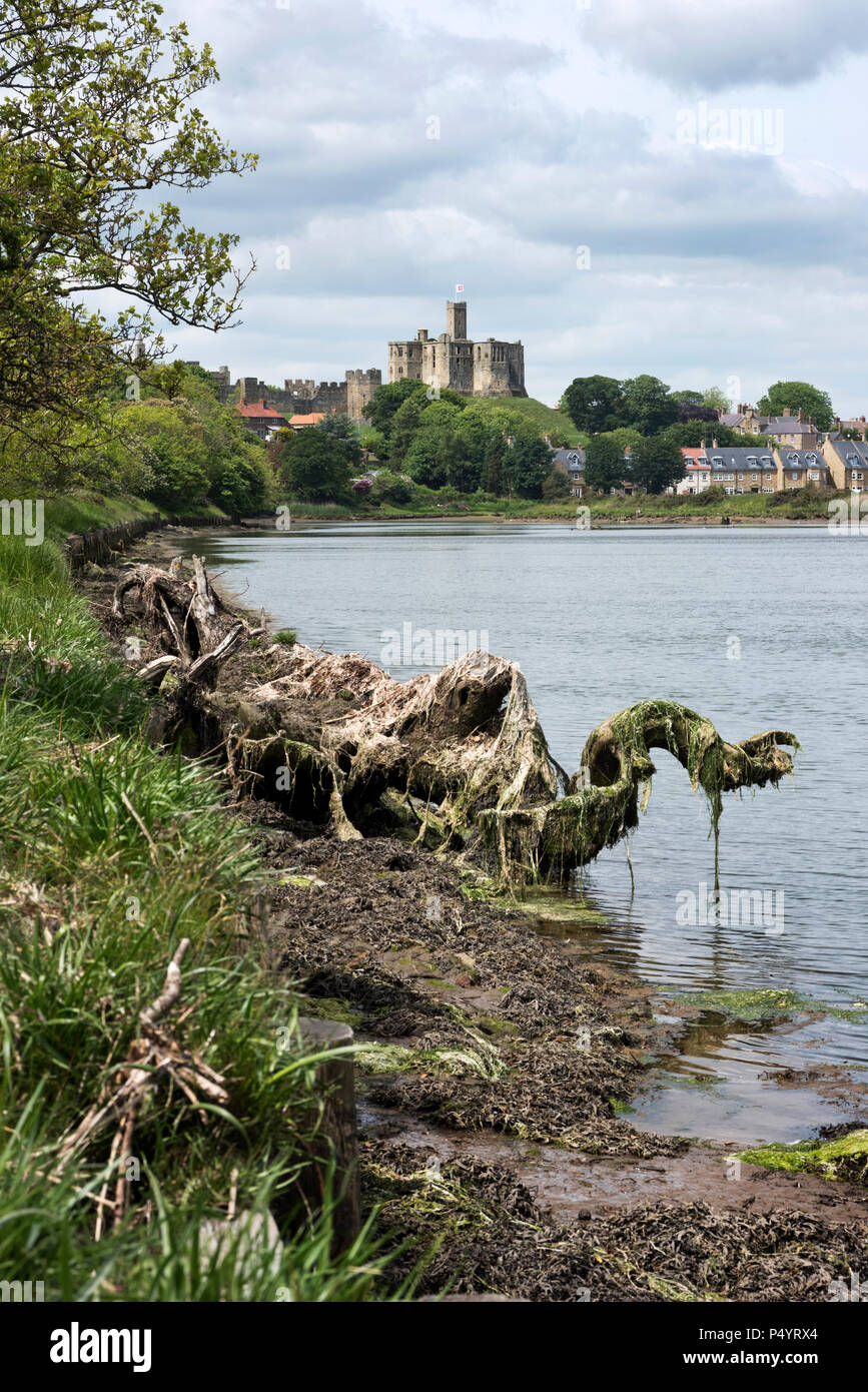 Il fiume Coquet e Castello di Warkworth, Northumberland, Regno Unito Foto Stock