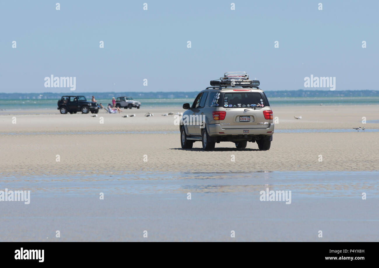 Si dirigeva a bassa marea a pascolo Crowes Beach, East Dennis, Massachusetts il Cape Cod, STATI UNITI D'AMERICA Foto Stock