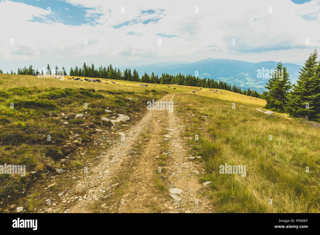 L'Austria, la Stiria, la pista sterrata sul plateau Foto Stock