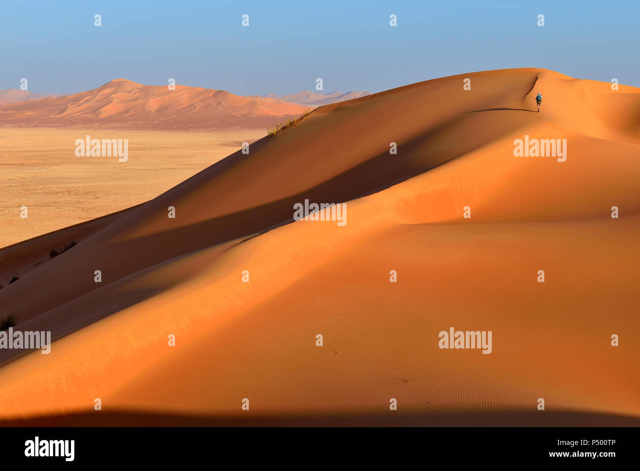 Oman, Dhofar, le dune di sabbia del Rub al Khali desert Foto Stock