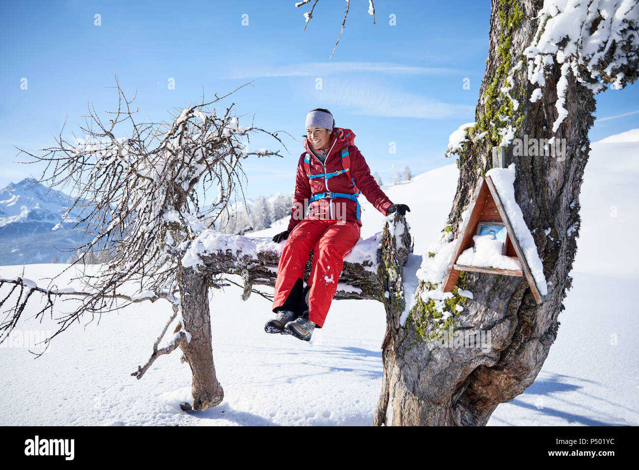 Austria, Tirolo, femmina escursionista seduta sul ramo Foto Stock