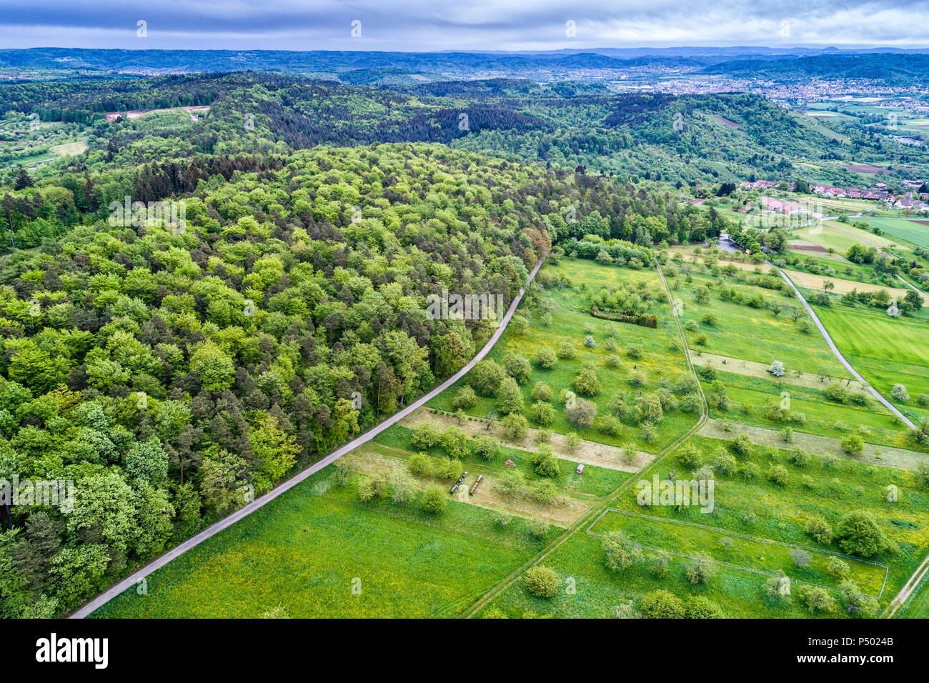 Germania Baden-Wuerttemberg, Sveva foresta della Franconia, Rems-Murr-Kreis, vista aerea di prato con disseminati di alberi da frutta e di strade Foto Stock