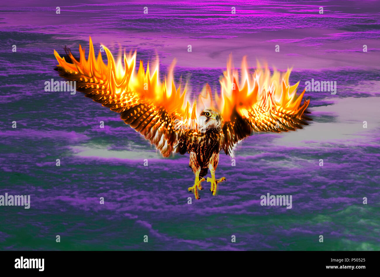 Un uccello Phoenix che rinasce dalle ceneri, in fiamme Foto Stock