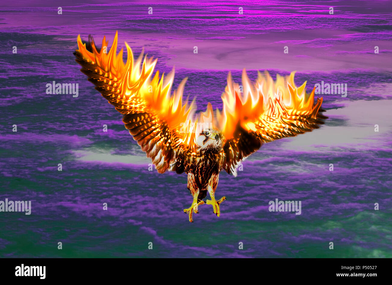 Una phoenix in fiamme che rinasce dalle ceneri Foto Stock