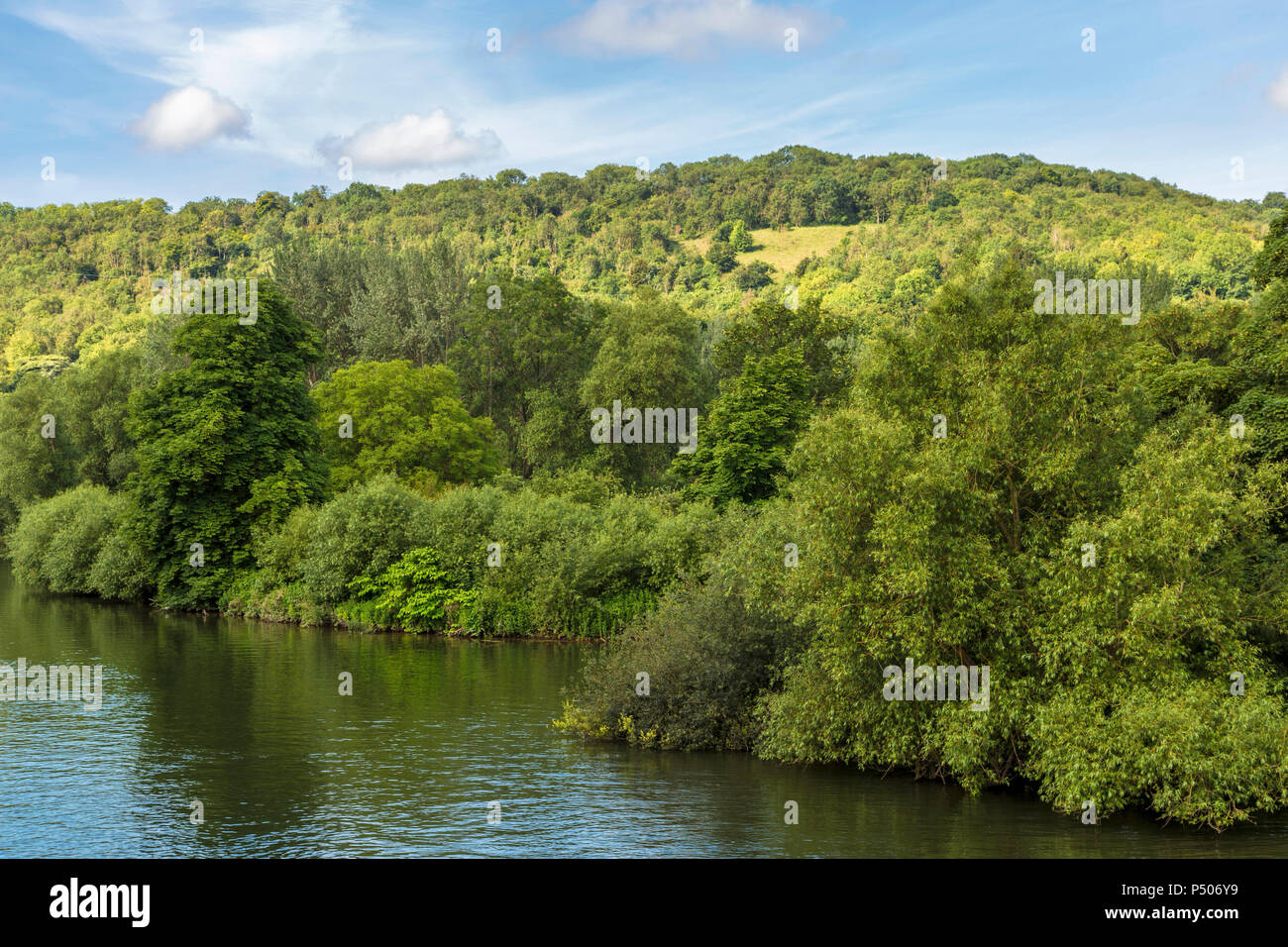 Il fiume Tamigi con vista di una gola conosciuta come 'Goring Gap' e ripidi pendii di Chiltern Hills, a Goring, Oxfordshire, Inghilterra, Regno Unito. Foto Stock