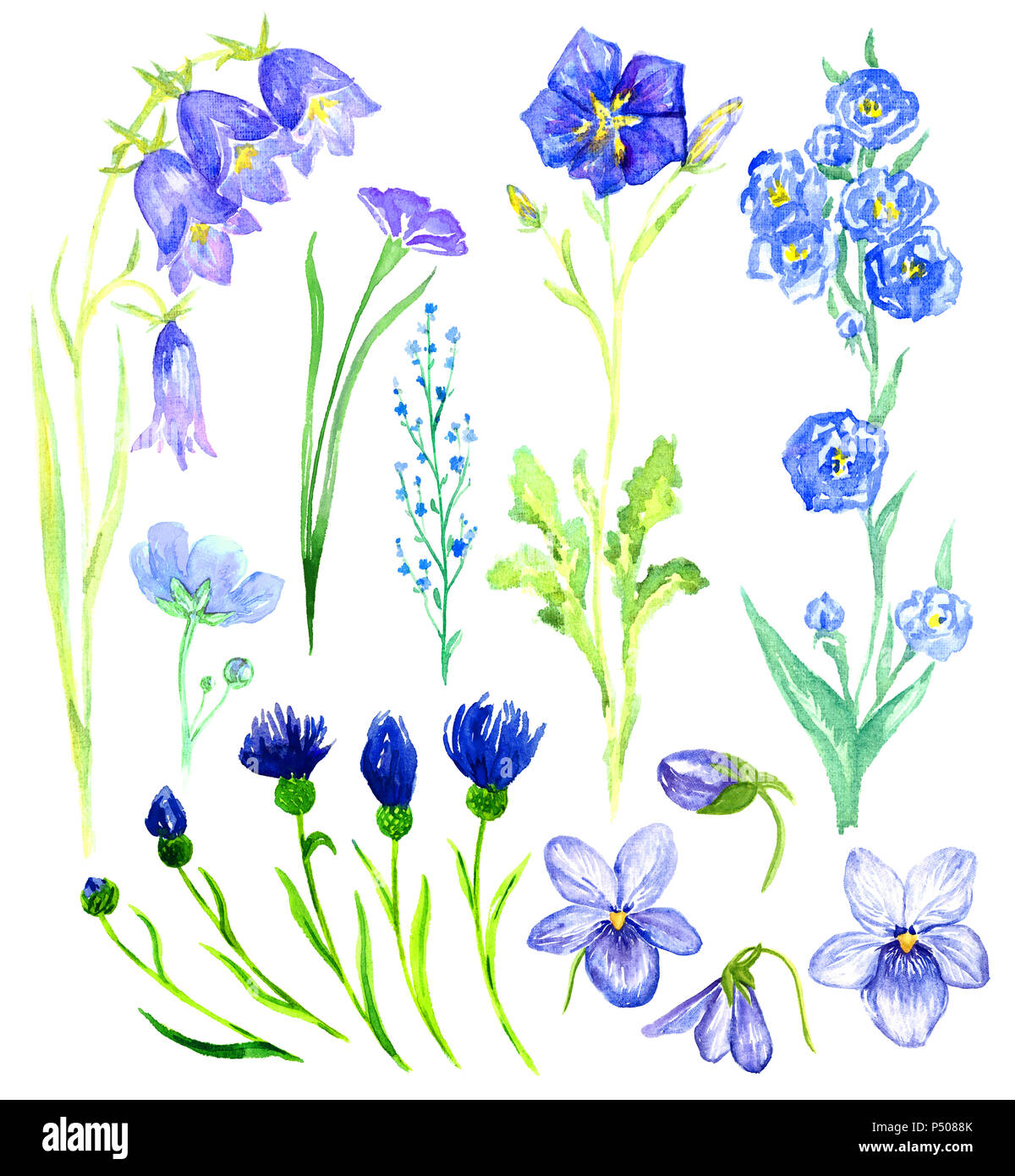 Set di fiori blu: campanule, viole, dimenticare-me, Fiordaliso, isolato dipinte a mano illustrazione ad acquerello in stile morbido Foto Stock