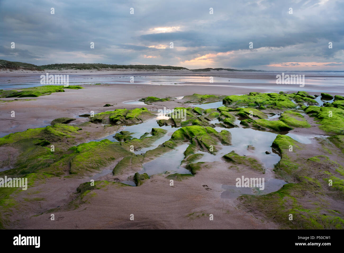 Il Northumberland costa vicino Cresswell al tramonto Foto Stock