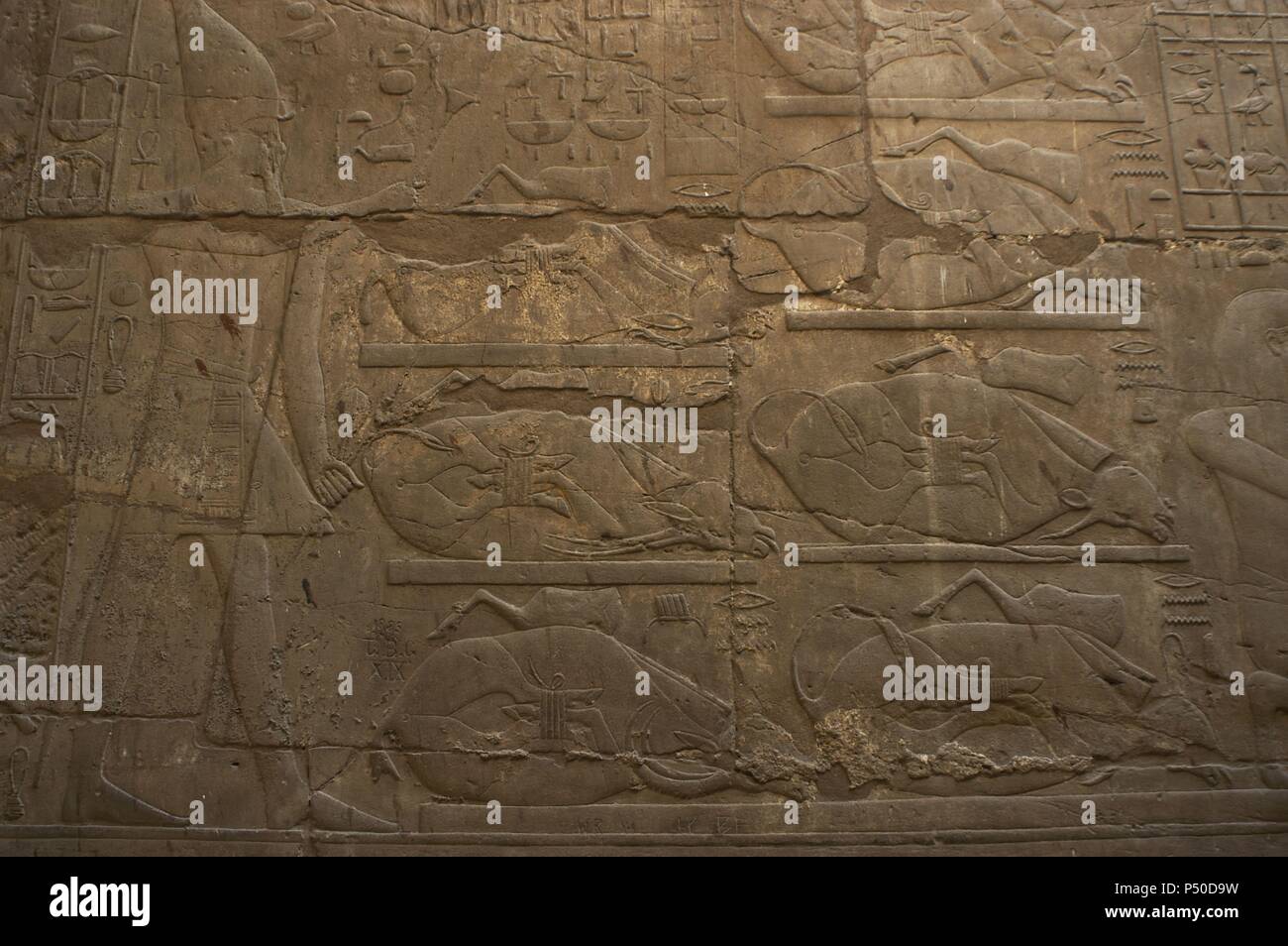 Rilievo raffigurante un faraone che offre agli dèi. Nuovo Impero. Tempio di Luxor. L'Egitto. Foto Stock