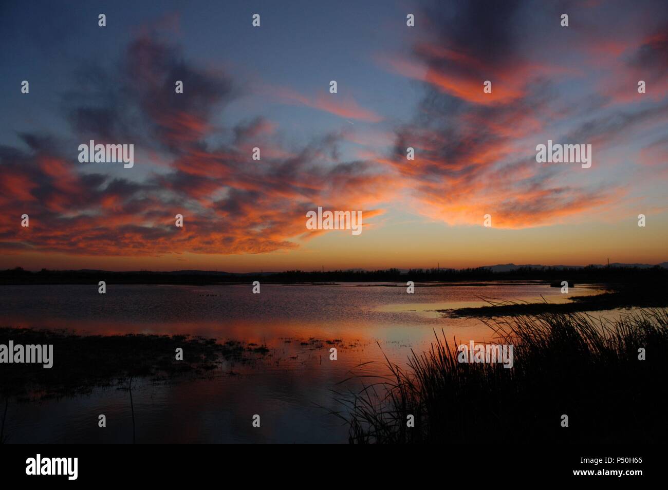 Puesta de Sol en el Parque Natural de los 'Aigüamolls de l'Empordà', humedal situado en la confluencia de los ríos Fluvià y Muga. Comarca de l'Alt Empordà. Provincia de Girona. Cataluña. Foto Stock