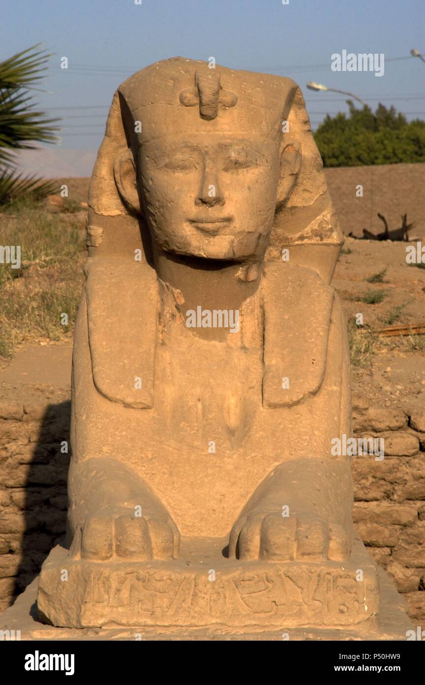 Arte Egizia. Tempio di Luxor. Sphinx situato nel Viale della Sfinge. Nuovo Regno. Antica Tebe "Waset. L'Egitto. Foto Stock