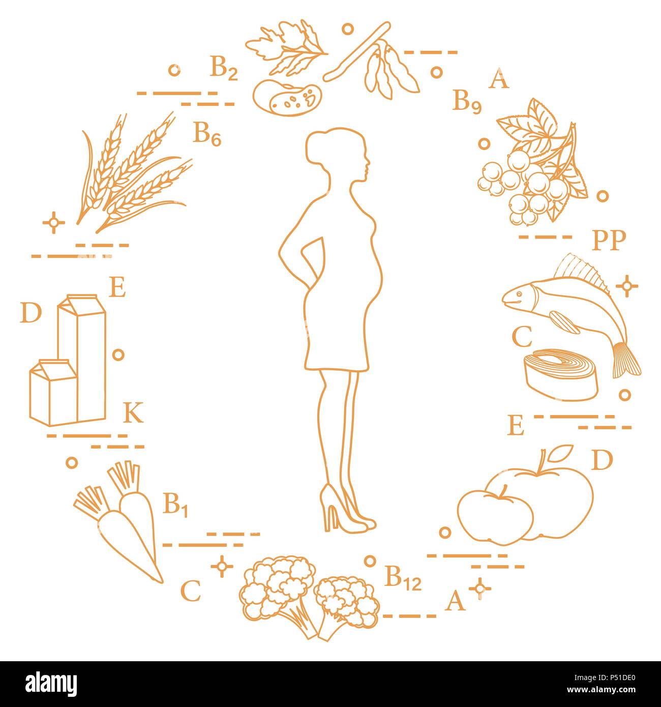 Donna incinta e di cibi ricchi di vitamine utili per le donne in gravidanza. Pesci, mele, cavolfiore, carote, prodotti lattiero-caseari, il ribes nero, soia, siamo Illustrazione Vettoriale