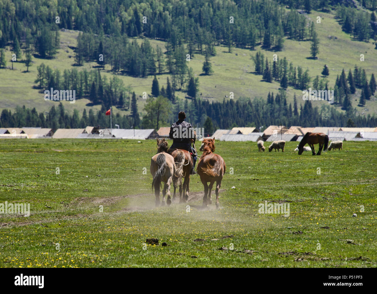 Il kazako horseman a Kanas Lake National Park, Xinjiang, Cina Foto Stock