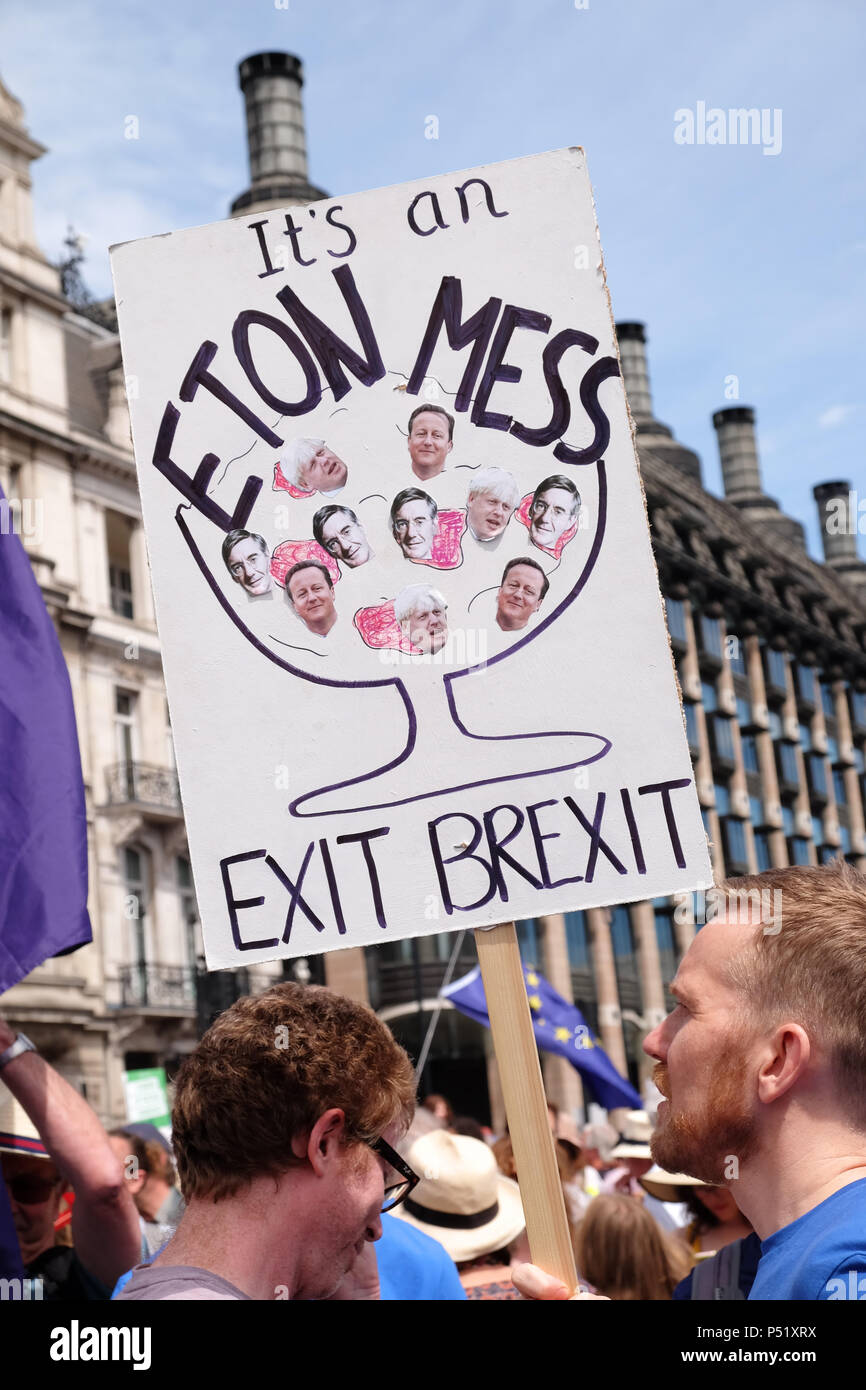 Voto popolare a Londra Regno Unito - 23 Giugno 2018 - i dimostranti esigono una seconda votazione finale sul Brexit trattare con targhetta è un Eton Mess uscire Brexit Foto Stock