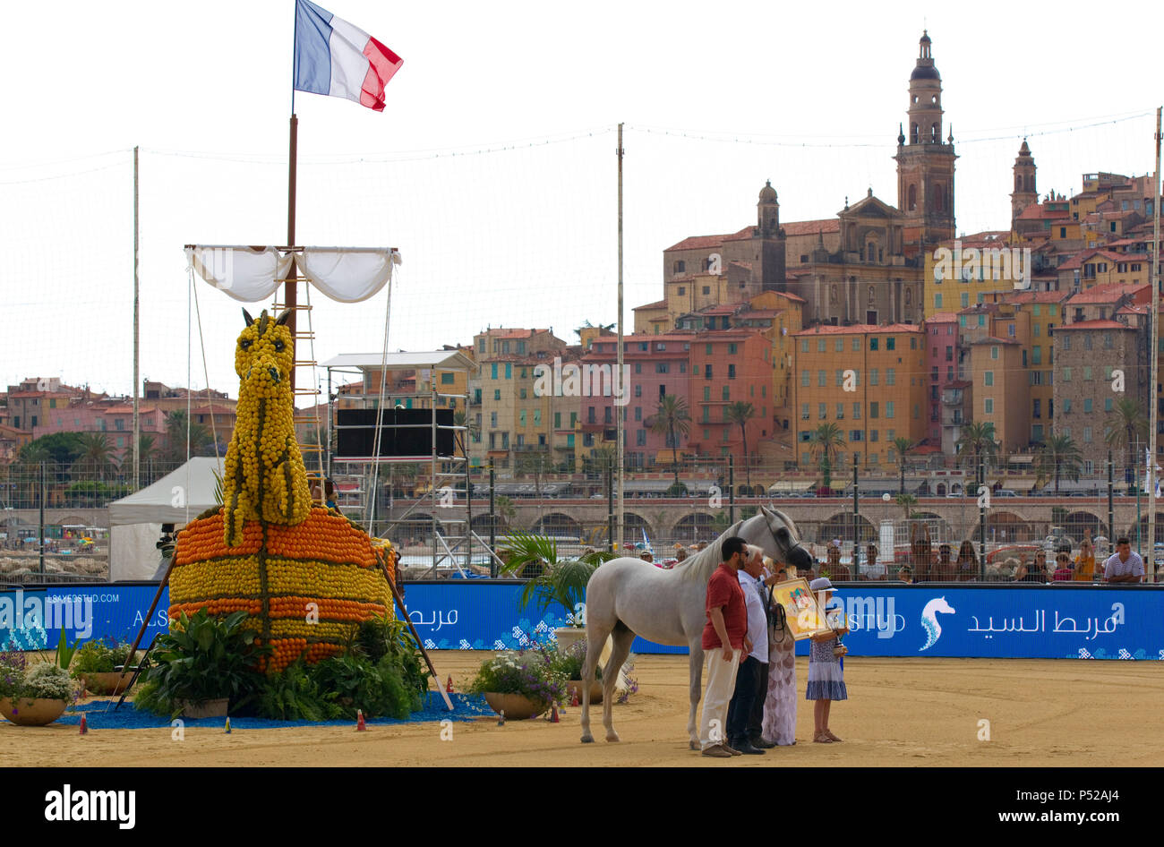 Menton, Francia. Il 24 giugno 2018. Menton, Francia - 24 Giugno 2018: Mediterraneo e nei Paesi arabi Arabian Horse campionato. Championnat de Pur Sang Arabe de la Mediterranee et des Pays Arabes. Cavalli, Cheval, Pferd, Pferde, Zucht, APCA, ECAHO, ACA, | Utilizzo di credito in tutto il mondo: dpa/Alamy Live News Foto Stock