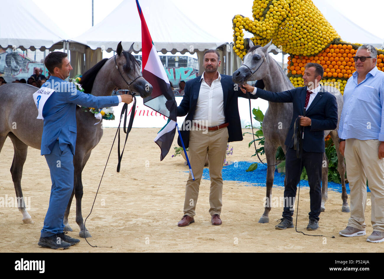 Menton, Francia. Il 24 giugno 2018. Menton, Francia - 24 Giugno 2018: Mediterraneo e nei Paesi arabi Arabian Horse campionato. Championnat de Pur Sang Arabe de la Mediterranee et des Pays Arabes. Cavalli, Cheval, Pferd, Pferde, Zucht, APCA, ECAHO, ACA, | Utilizzo di credito in tutto il mondo: dpa/Alamy Live News Foto Stock