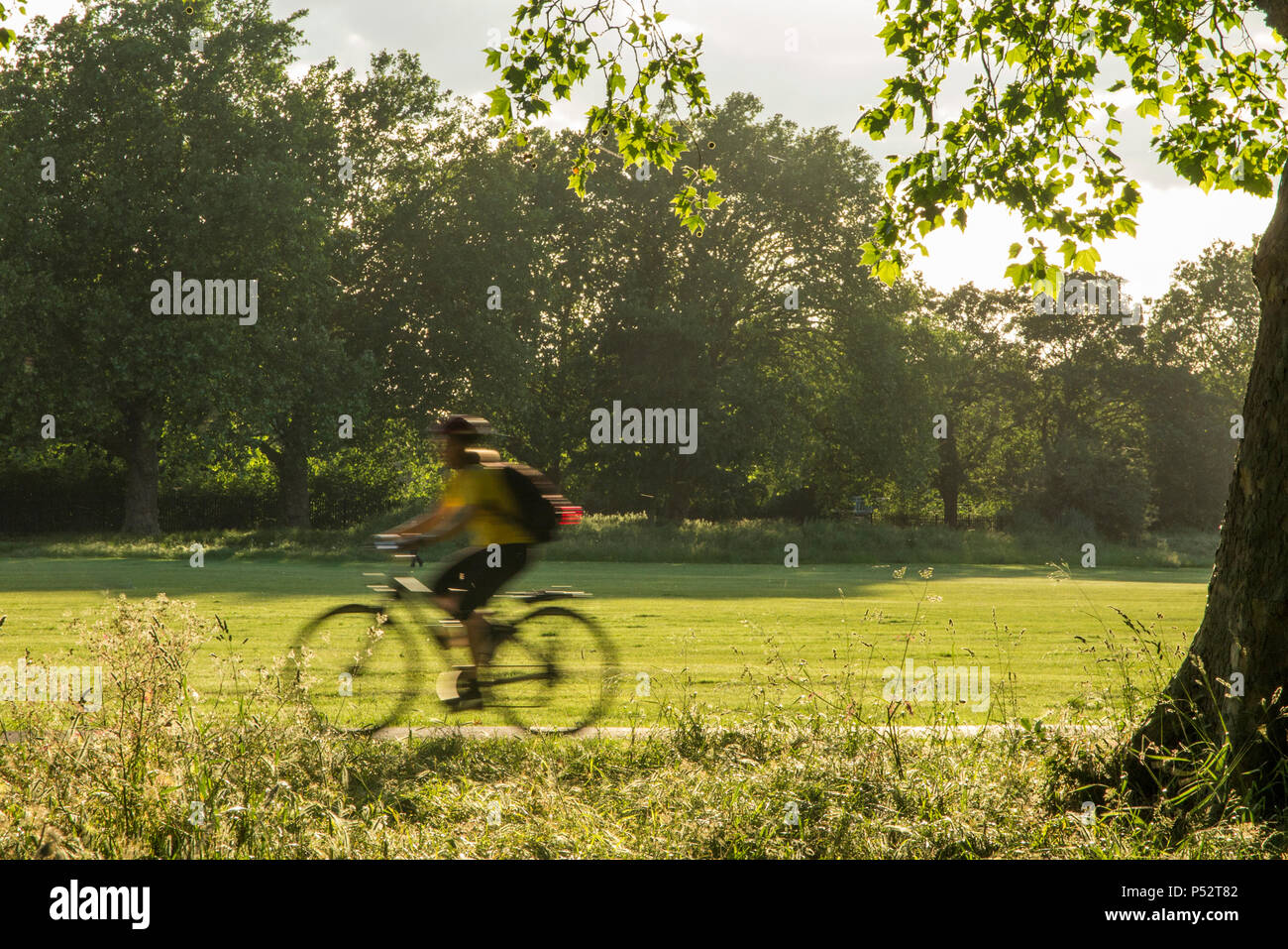 Tornando a casa - Una corsa in bicicletta attraverso il parco di Londra al tramonto Foto Stock