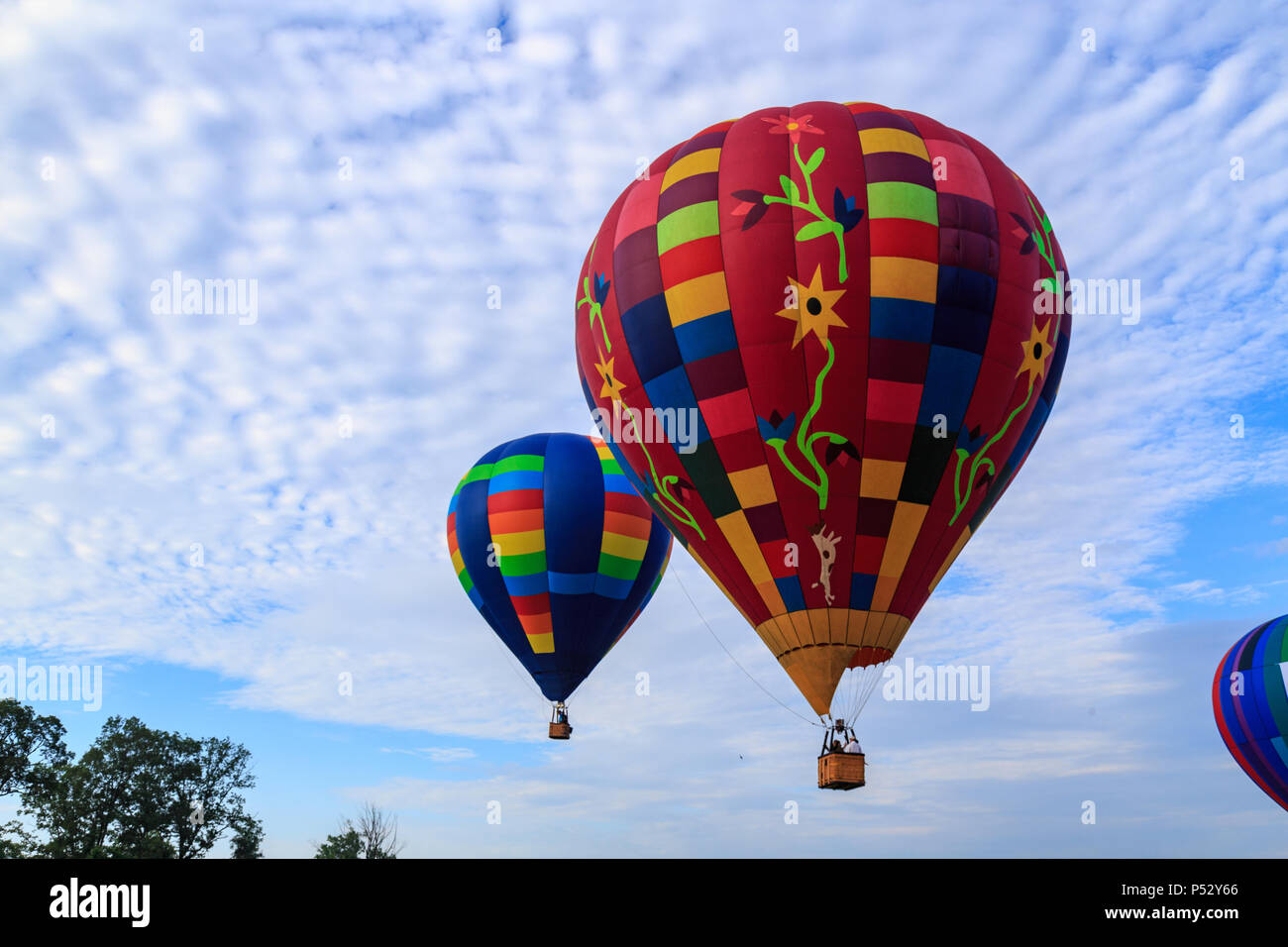 Avondale, PA, Stati Uniti d'America - 24 Giugno 2018: una mongolfiera in volo presso il Chester County Balloon Festival presso il nuovo giardino campo di volo in Toughkenamon P Foto Stock