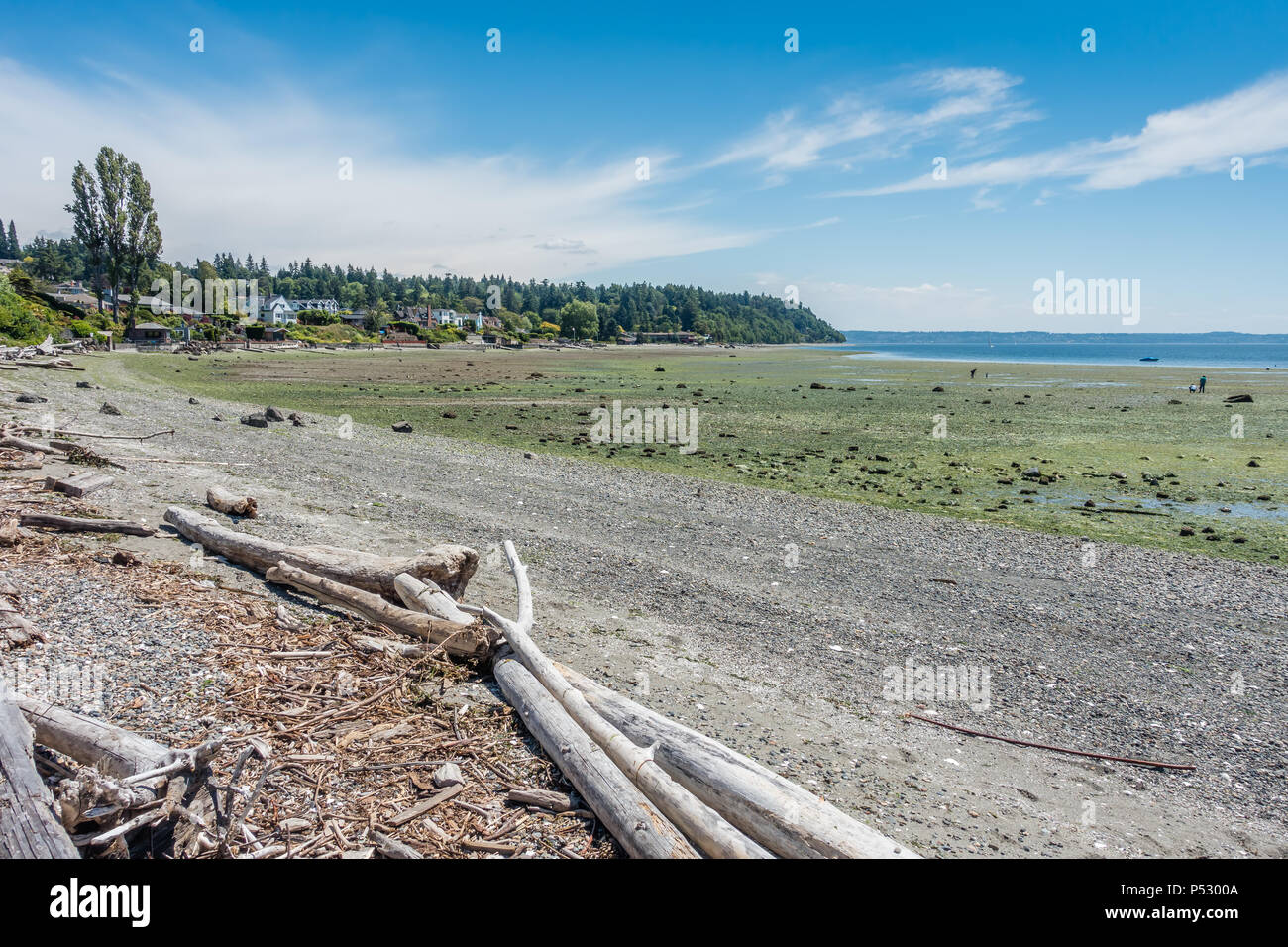La marea è estremamente basso al parco della Normandia, Washington. Foto Stock