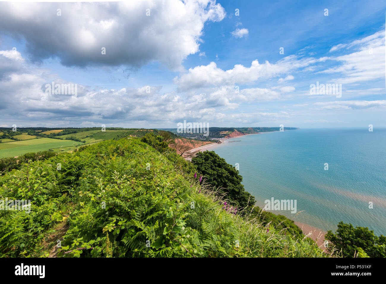 La East Devon costa, guardando a nord-est dal picco elevato verso Sidmouth. lungo il Patrimonio Mondiale Jurassic Coast. Foto Stock