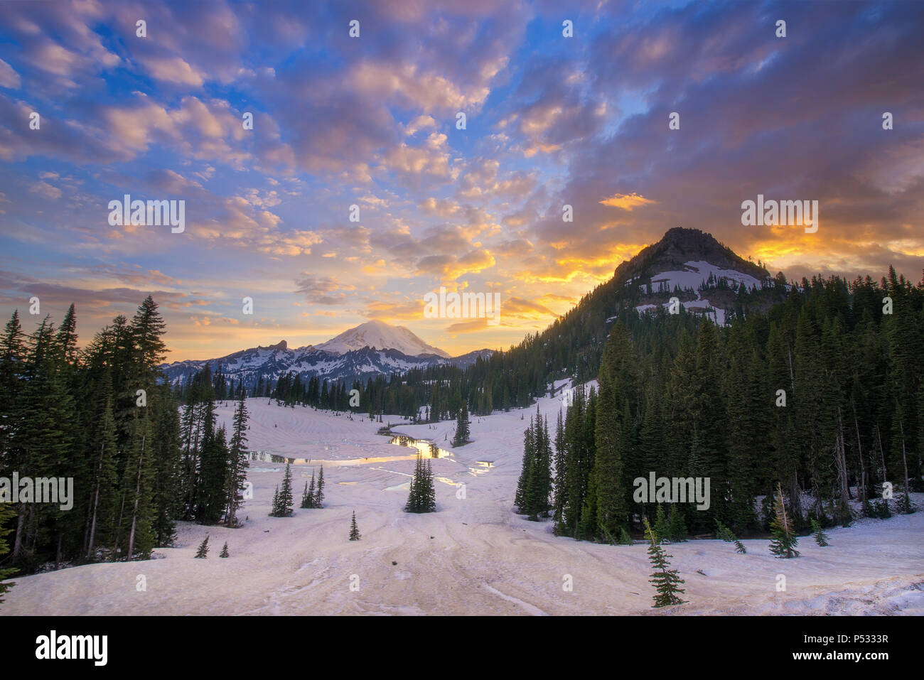 Tipsoo Lake e Mt. Rainier Foto Stock