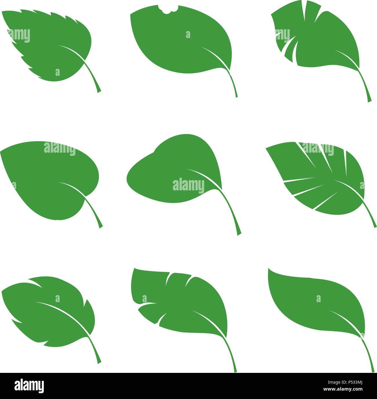 Set di green varie foglie. Illustrazione Vettoriale. Illustrazione Vettoriale. Impianto in giardino. Illustrazione Vettoriale