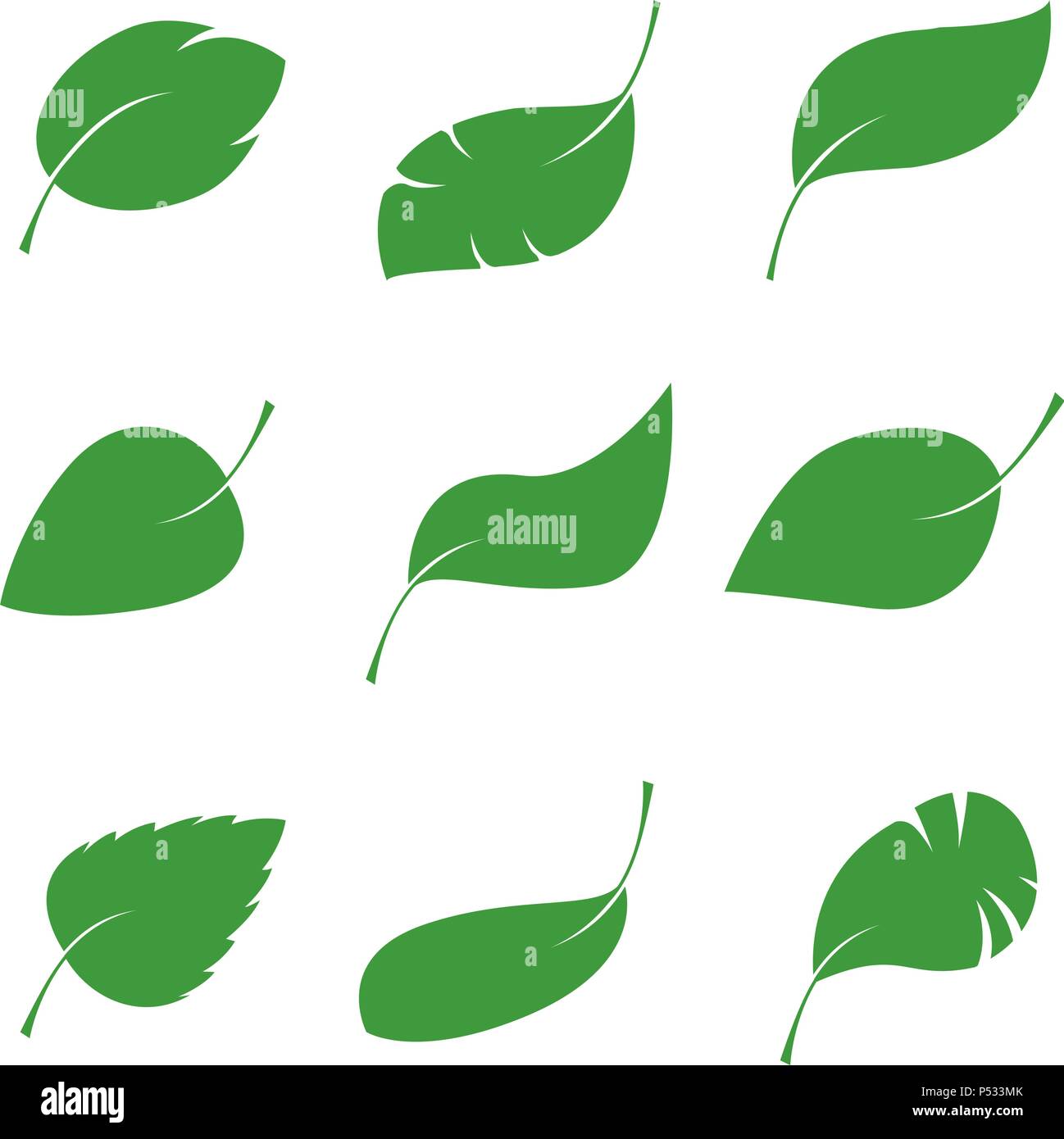 Set di green varie foglie. Illustrazione Vettoriale. Illustrazione Vettoriale. Impianto in giardino. Illustrazione Vettoriale