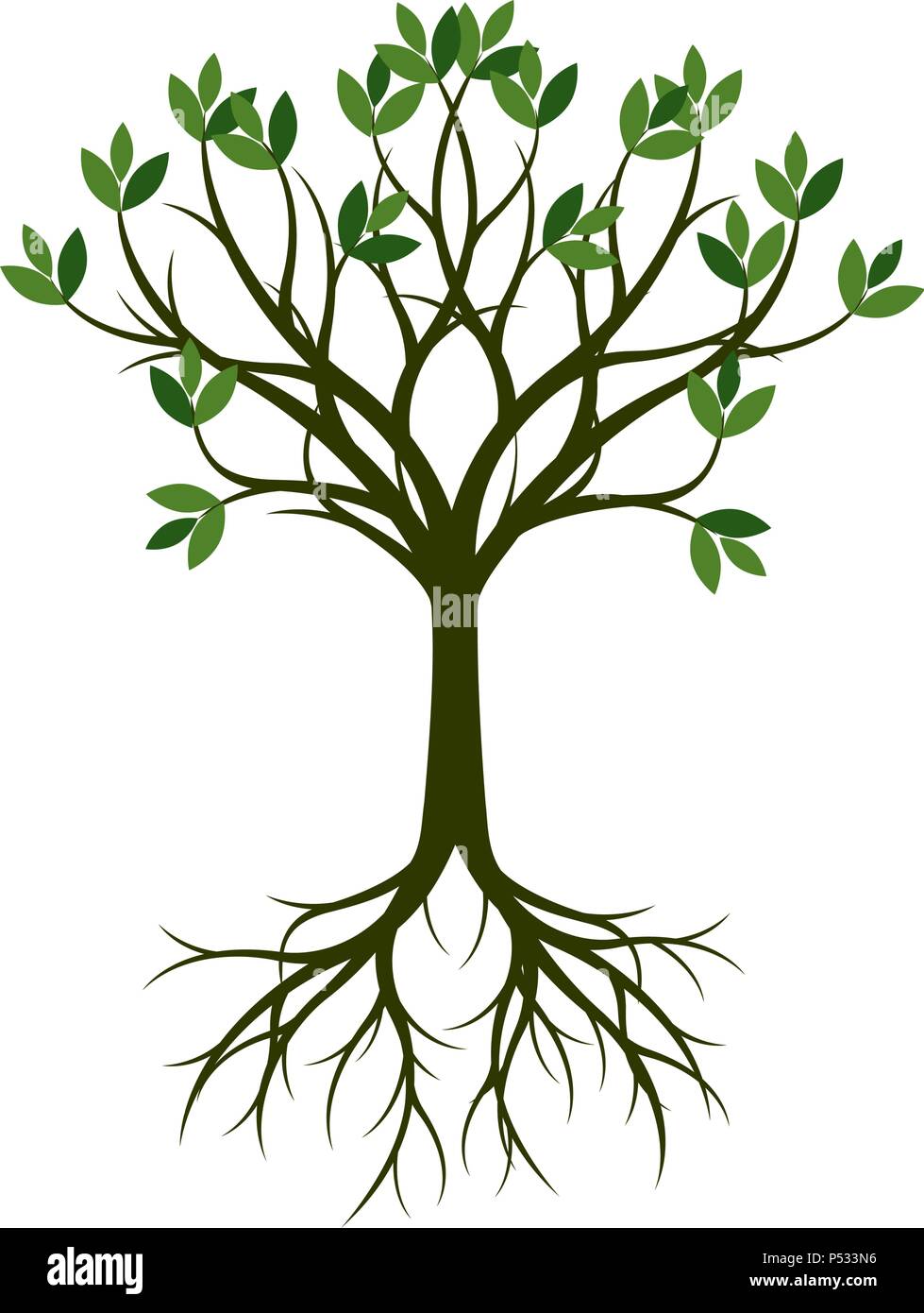 Albero verde con radice. Illustrazione Vettoriale. Illustrazione Vettoriale